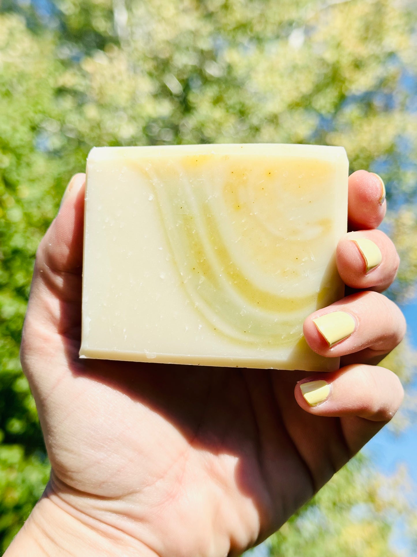 The Aspen Soap | Brightening Turmeric | Anti-inflammatory | Toning | Moisturizing